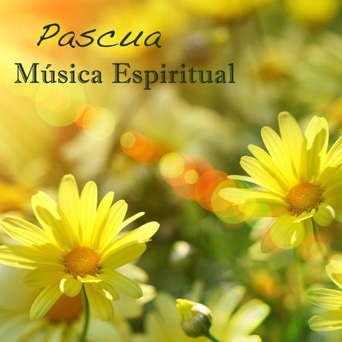 Wedding Song cover art