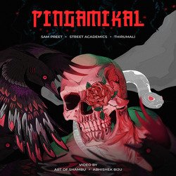 Pingamikal-KRxYXUVaTkY