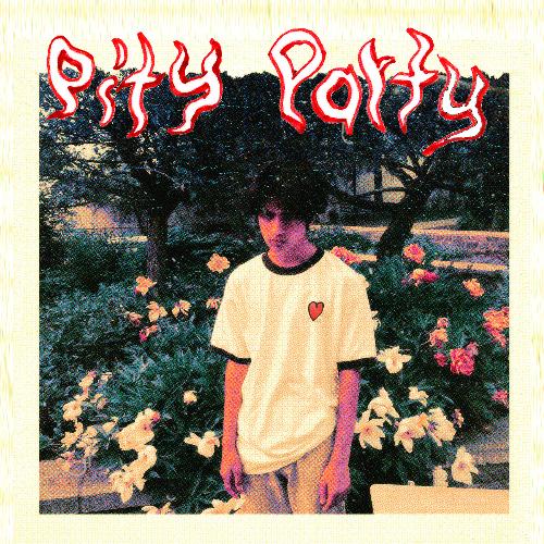 Pity Party_poster_image