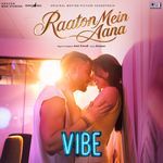 Raaton Mein Aana (From "Vibe")_poster_image