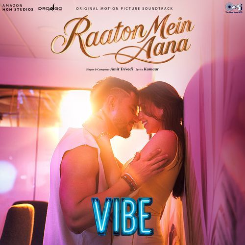 Raaton Mein Aana (From "Vibe")