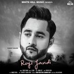 Royi Jandi