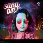 Saara Din TikTok