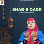Shab E Qadr