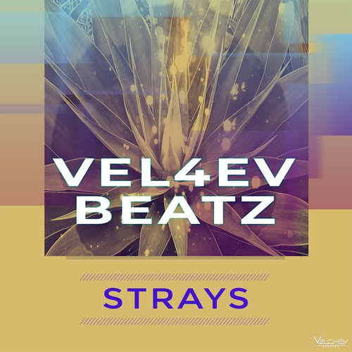 Strays