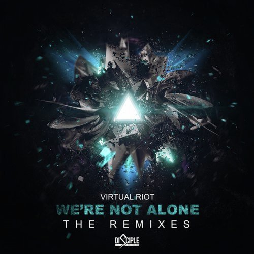 We're Not Alone (The Remixes)