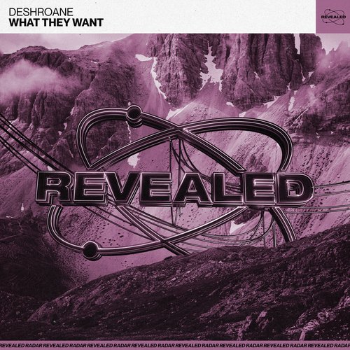 What They Want cover art
