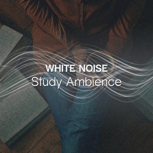 White Noise: Study Ambience