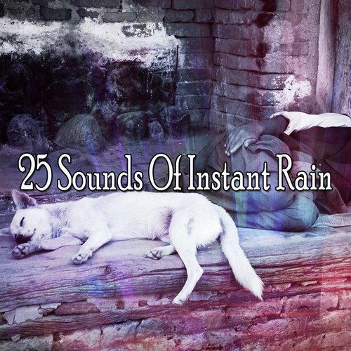 25 Sounds Of Instant Rain