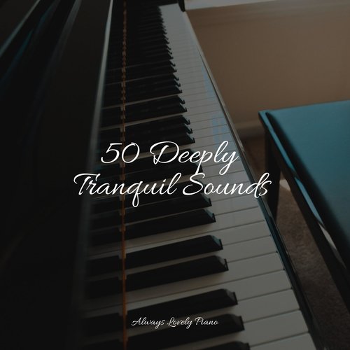 50 Peaceful Tracks for Complete Relaxation