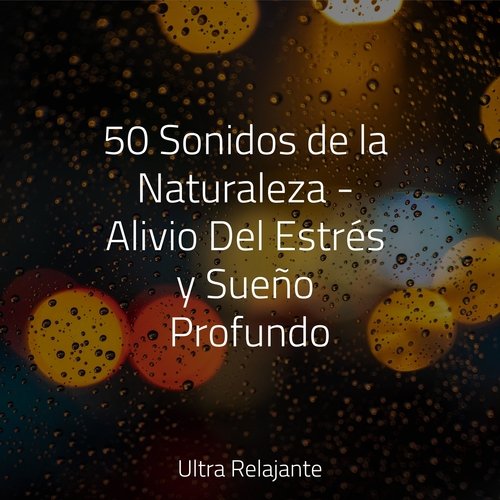 50 Sonidos de la Naturaleza - Alivio Del Estrés y Sueño Profundo_poster_image