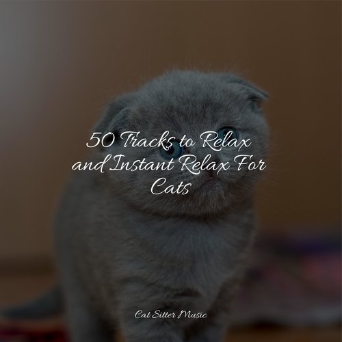 50 Tracks to Relax and Instant Relax For Cats