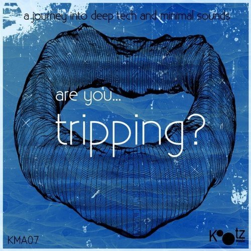 Are You...Tripping?, Vol. 5