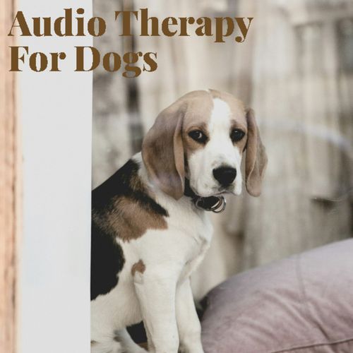 Ultimate Dog Relaxation cover art