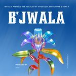 B'JWALA (feat. Viyogazi, Switch MaB, Tony K &amp; ivy League018)