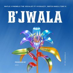 B'JWALA (feat. Viyogazi, Switch MaB, Tony K &amp; ivy League018)