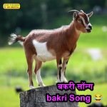 बकर सनग Bakri Song