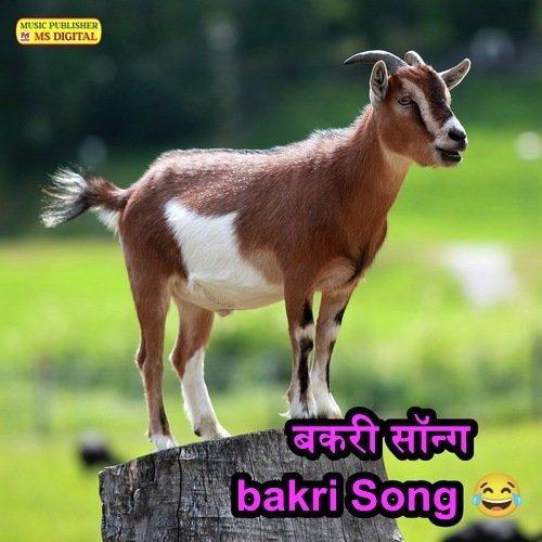 बकर सनग Bakri Song