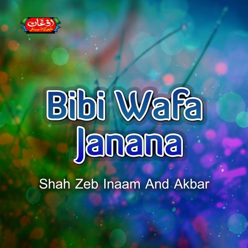 Bibi Wafa Janana_poster_image