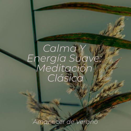 Explosión Sináptica cover art