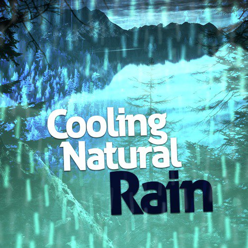 The Rain Sets In cover art