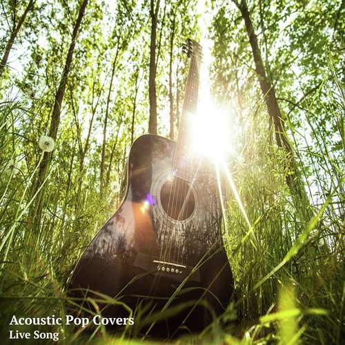 Acoustic Pop Covers
