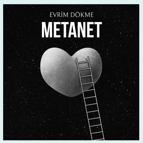 Metanet cover art