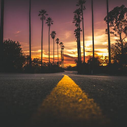 Miami cover art