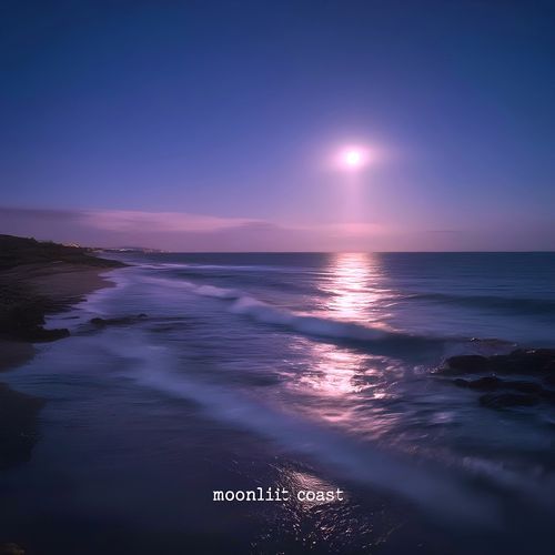 Moonliit Coast cover art