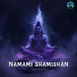Namami Shamishan