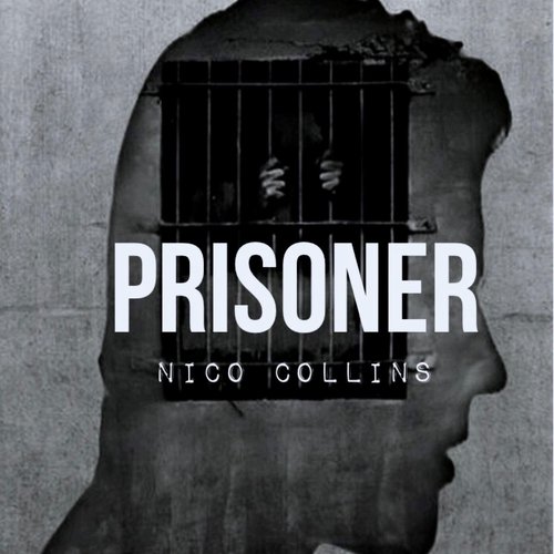 Prisoner_poster_image