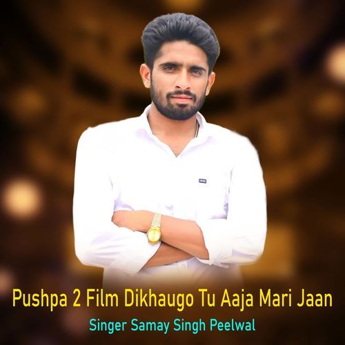 Pushpa 2 Film Dikhaugo Tu Aaja Mari Jaan