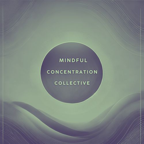 Relaxing Chillhop Study Beats