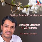 Sathya Manala Sundarane artwork