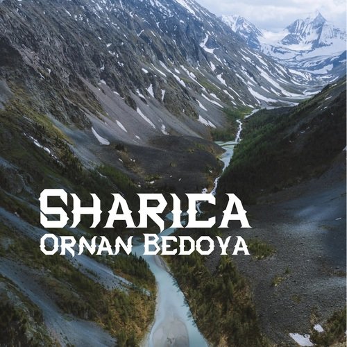 Srinivas cover art