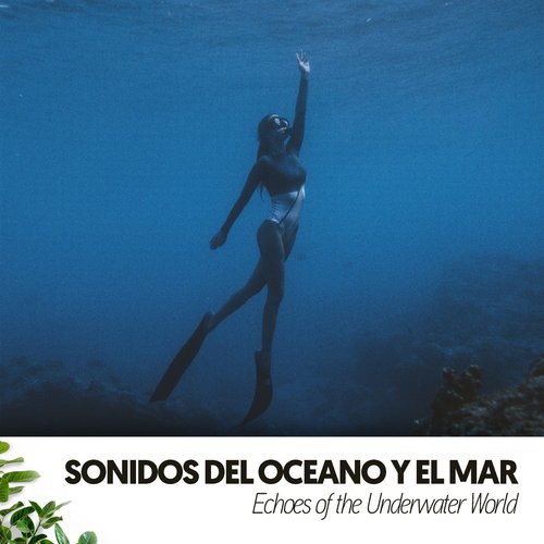 Olas de Relajación cover art