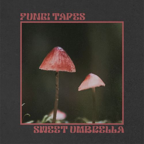 Sweet Umbrella