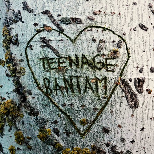 Teenage Bantam_poster_image