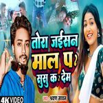 Tora Jaisan Mal Par Susu Ka Deham