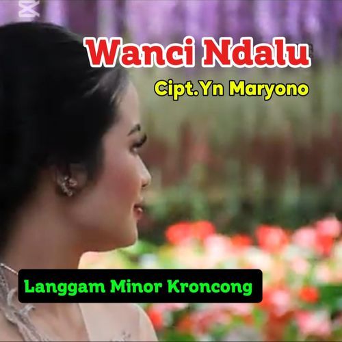 Wanci Ndalu cover art