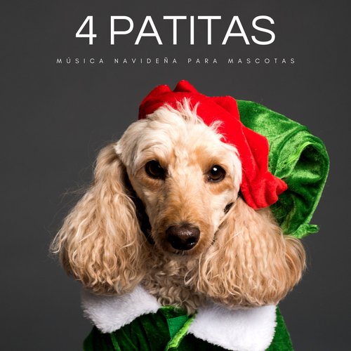 Música Para Mascotas cover art