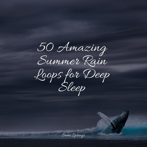 50 Amazing Summer Rain Loops for Deep Sleep