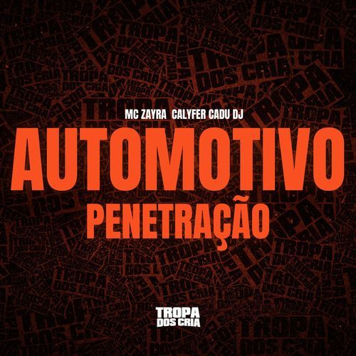 AUTOMOTIVO PENETRAÇÃO_poster_image