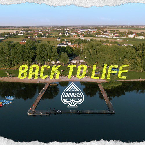 Back to Life_poster_image