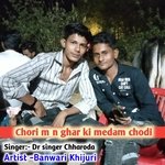 Chori m n ghar ki medam chodi (Hindi)