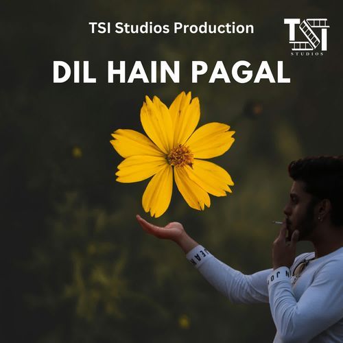 DIL HAIN PAGAL