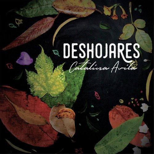 Deshojares_poster_image