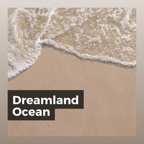 Barnacle cover art