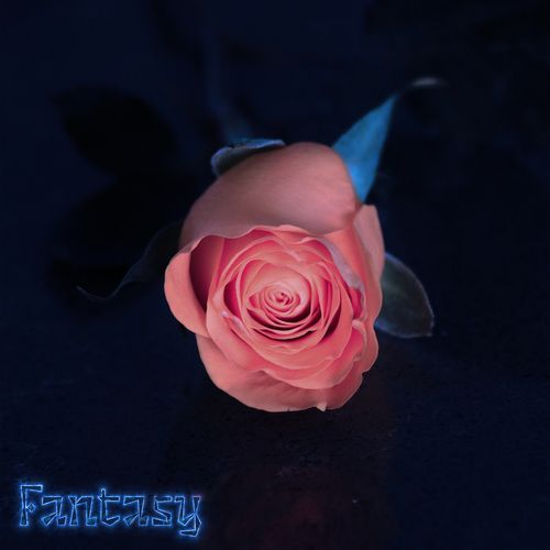 Fantasy