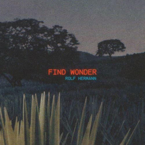 Find wonder